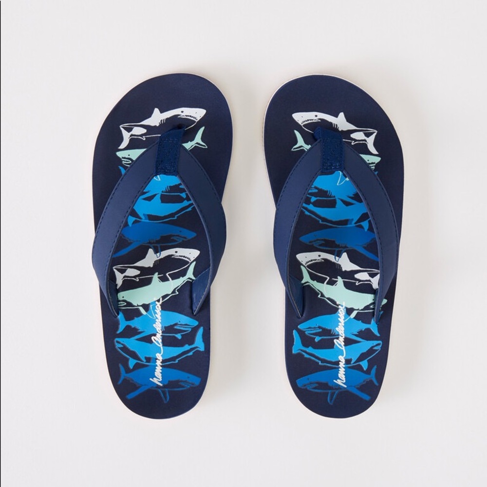 NWT Hanna Andersson Shark Flip Flops Size 2